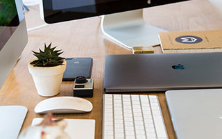 尼克斯轻取独行侠：兰多夫砍下分再次出色