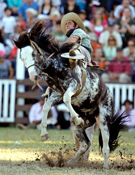 包含南美洲冠级比赛进入白热化阶段,扣人心弦的词条 包含南美洲冠级比赛进入白热化阶段,扣人心弦的词条